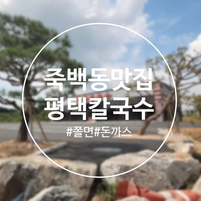  [평택]베테랑칼국수 생각난다면 '평택칼국수' 내돈내산