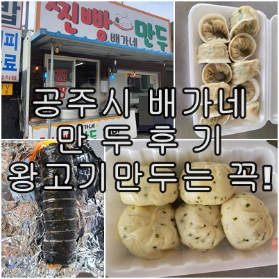  공주시 만두집 '배가네' 후기! 왕고기만두부터 오이 김밥까지!