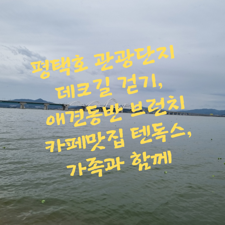  평택호 관광단지 데크길 걷기, 애견동반 브런치 카페맛집 텐독스_가족과 함께