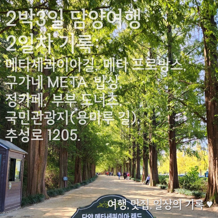  [2박 3일 담양 여행] 3. 2일차의 기록_ 메타세쿼이아 길, 메타 프로방스, 구가네 META 밥상, 정카페, 원조 부부 찹쌀 도너츠,  국민관광지(용마루 길), 추성로 12