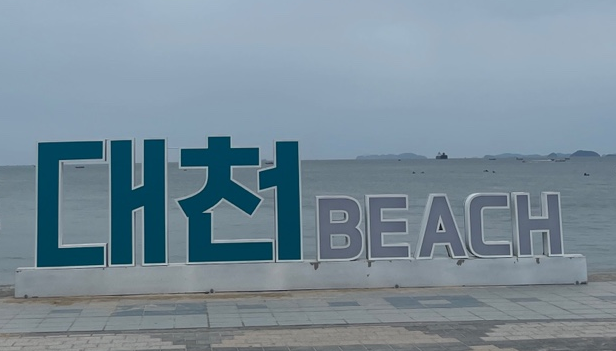  해물 뚝배기 전문점 대천 맛집 : 서해바다 / 보령 전복, 해산물이 가득한 뚝배기 맛집