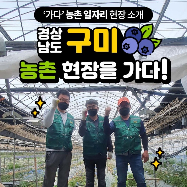  [가다 현장] 건설&농촌 일자리 중개 플랫폼 '가다' - 경상북도 구미 블루베리 농촌 알바 일당은?