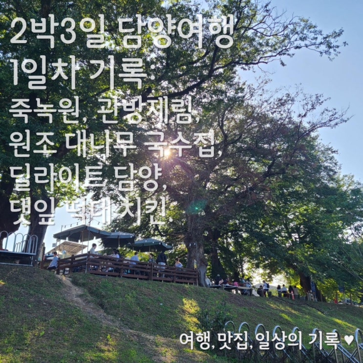  [2박 3일 담양 여행] 2. 1일차의 기록_ 죽녹원, 관방제림, 원조 대나무 국수집, 딜라이트 담양, 체크인(갤러리 무인텔), 댓잎 떡대 치킨