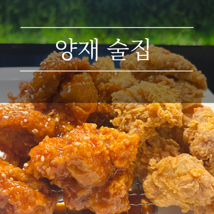  양재 맛집 치킨빠스 양재시민의숲역 애견동반식당 통오징어가 맛있는 술집