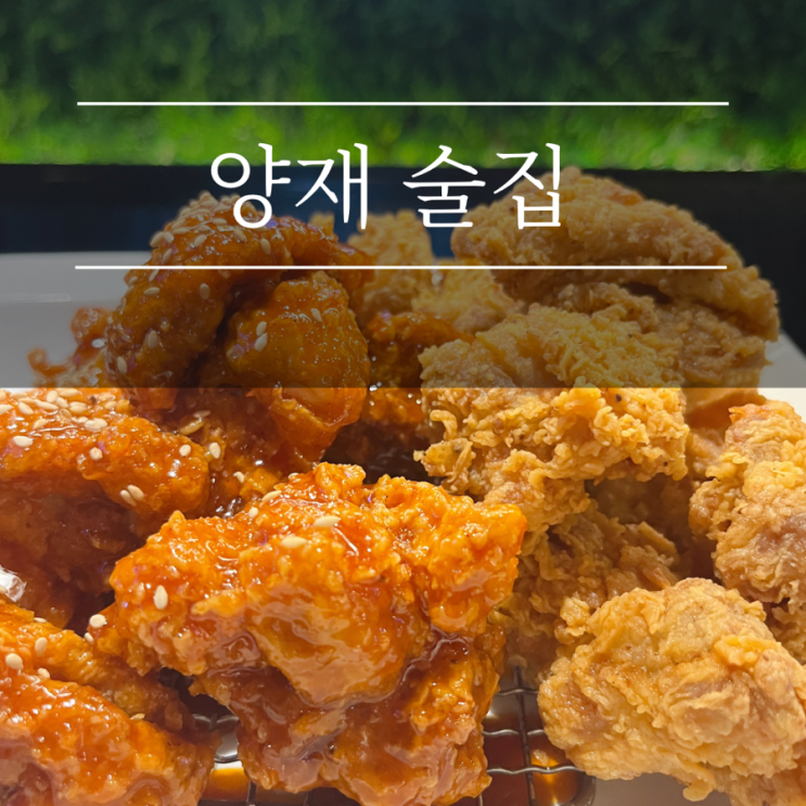 양재 맛집 치킨빠스 양재시민의숲역 애견동반식당 통오징어가 맛있는 술집