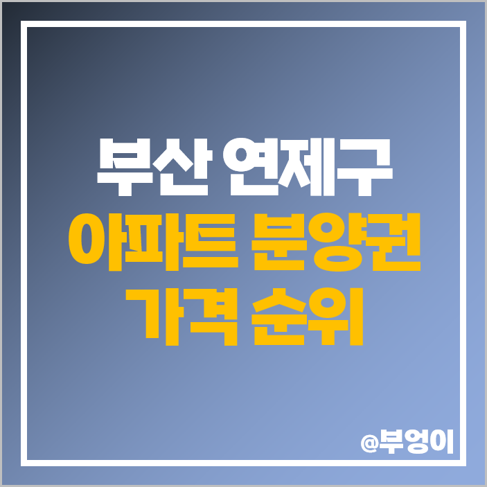 부산 연제구 아파트 분양권 매매 가격 레이카운티 시세 부산 연제구 아파트 분양권 매매 가격 레이카운티 시세