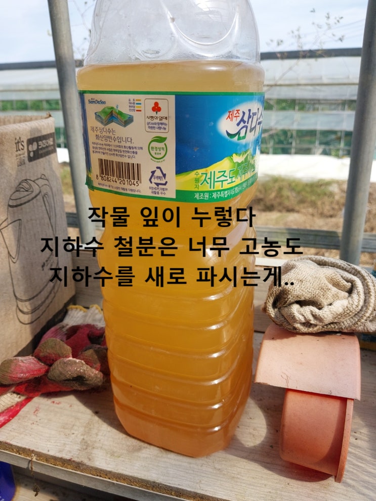 죄송합니다. 차라리 지하수를 새로 파세요. 경남 함안 농장 죄송합니다. 차라리 지하수를 새로 파세요. 경남 함안 농장