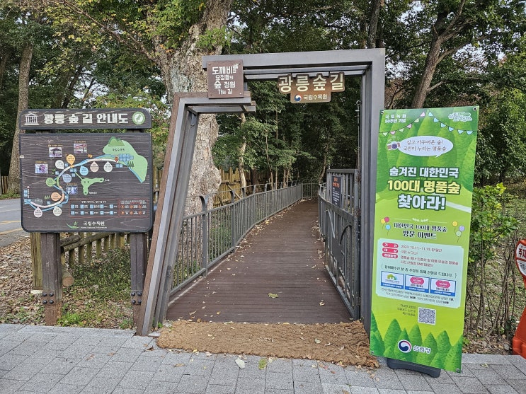 여행하기 좋은 가을, 대한민국 100대 명품숲 방문하고 선물도 받으세요!