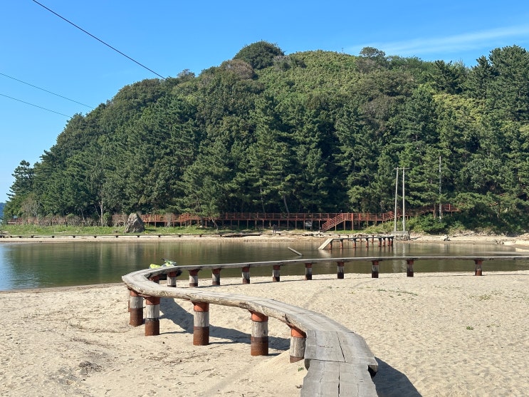  [삼척] 1박 2일 :: 가을여행 코스 추천(덕봉산 해안생태탐방로, 해양 레일바이크, 추암 촛대바위)