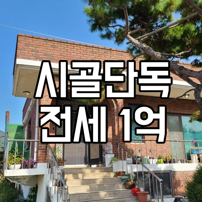 이천 단독주택 전세 1억. 작은 텃밭과 넓은 옥상 있는 경기도 시골집