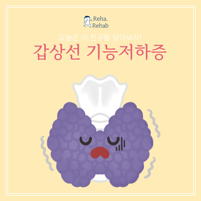  갑상선기능저하증 증상 원인 진단 및 건강을 위한 정보들