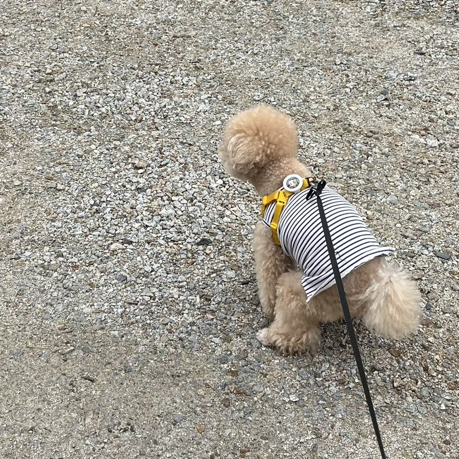 솔카페 사진 6