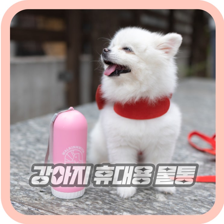  강아지 산책물통 워킨위드 휴대용 물병 사용 후기