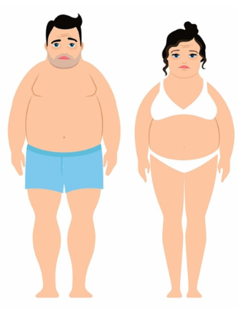  <봉담경희짐 내장지방의 위험성!, 내장지방 없에기 ! > 봉담피티 봉담복싱