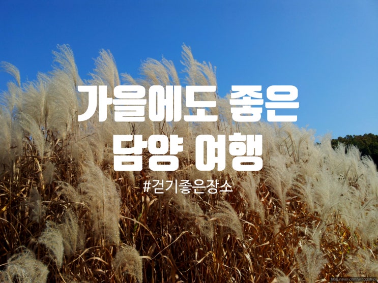  담양여행 가을 편 담양 용마루길, 관방제림, 대담미술관, 습지길