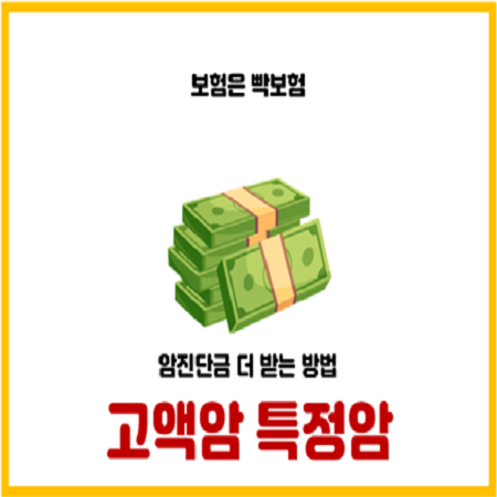  보험회사 고액암 특정암 종류와 가입방법(고액치료비암 포함)