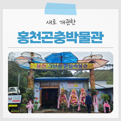 Ansangol photo 1