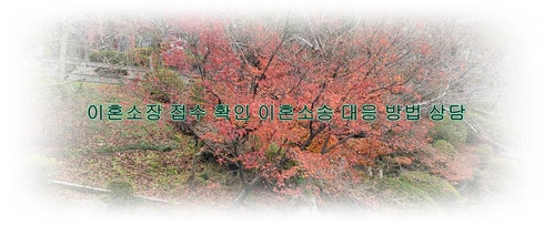 못할때 <b>나의사건검색</b>사이트에서 사건번호 검색하고 전자소송... 