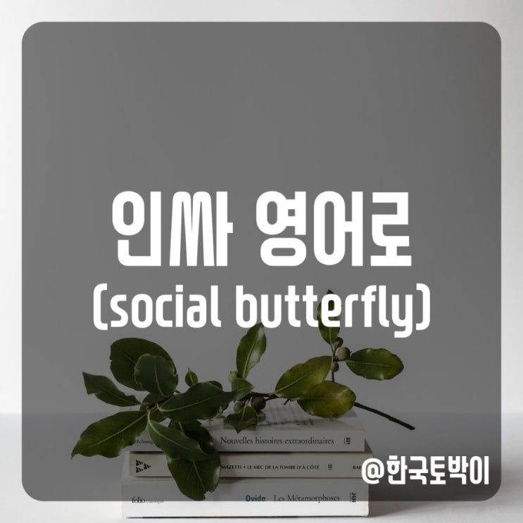  사교적인 사람, 인싸 영어로 social butterfly