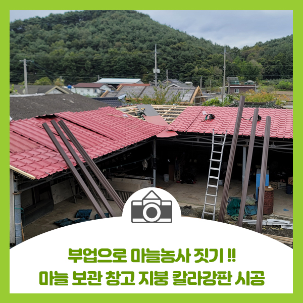  부업으로 마늘농사 짓기, 마늘 보관 창고 지붕 칼라강판으로 시공