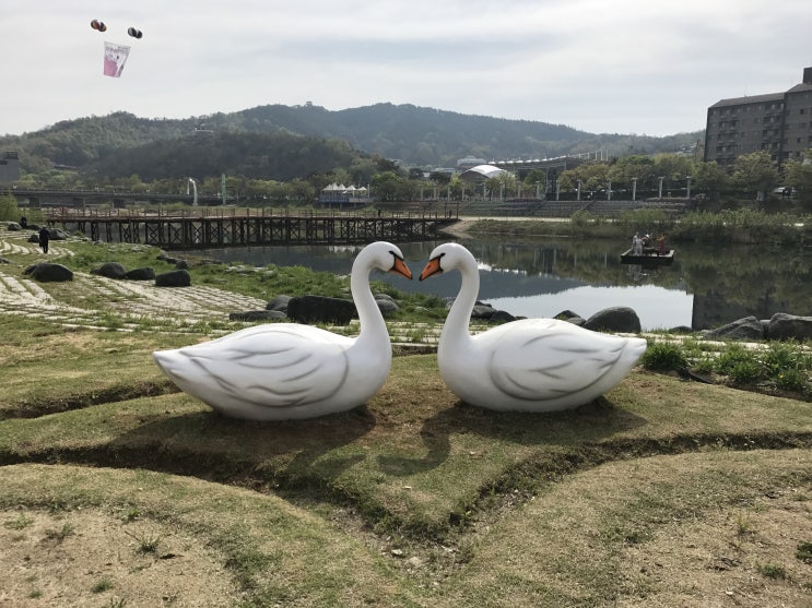  FRP 백조 한쌍 / 튤립 포토존 제작 및 설치