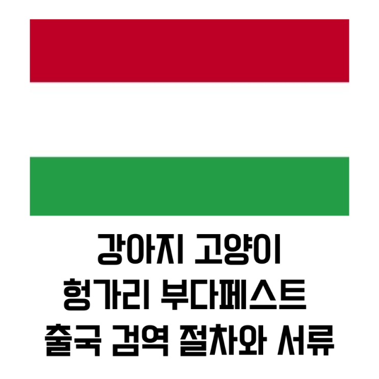  강아지 고양이 헝가리 부다페스트 출국 검역 절차와 서류