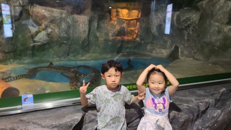  부산 아이랑 아기랑 갈만한곳 부산 해양 자연사박물관 무료 실내 아이와 가볼만한곳 어린이체험 추천