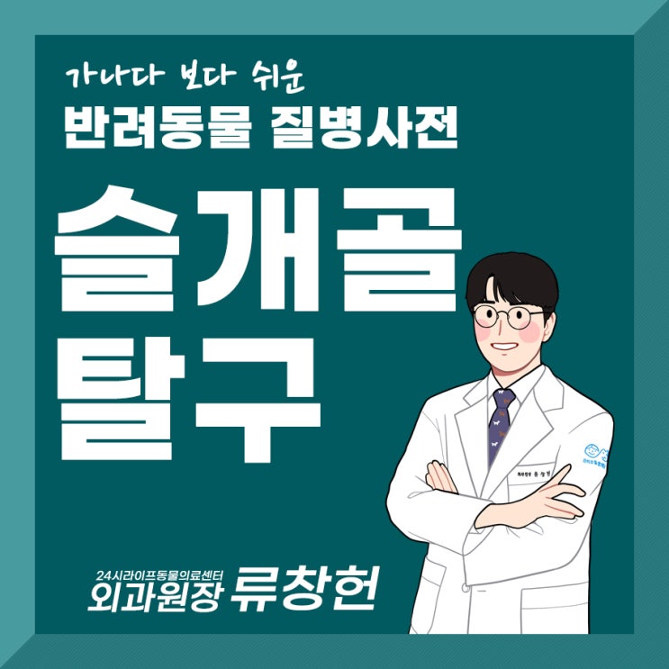 강아지슬개골탈구 원인 증상 슬개골수술과 예방법까지 한번에 살펴보기