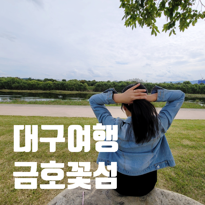  대구 금호꽃섬 코스모스, 대구정원박람회 정보 주차꿀팁!
