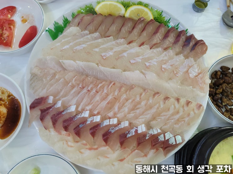 동해시 천곡동 회 생각 포차 술안주와 회 맛집 내돈내산 후기