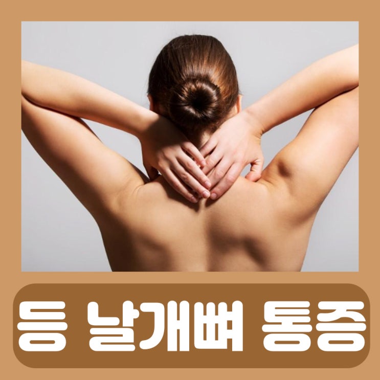  오른쪽등날개뼈통증 오른쪽 왼쪽 견갑골 등 날개뼈 근육 통증
