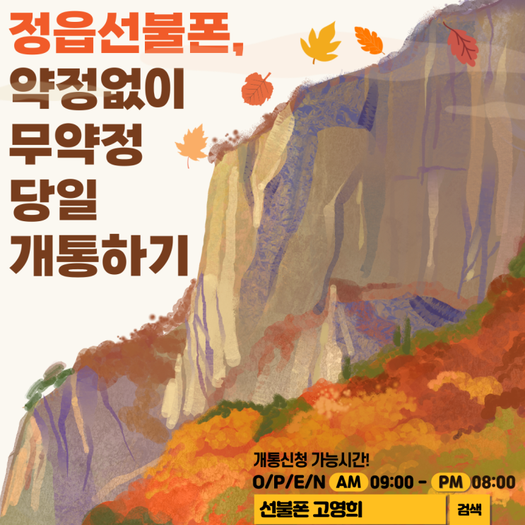  정읍선불폰 약정없이 무약정  당일개통하기