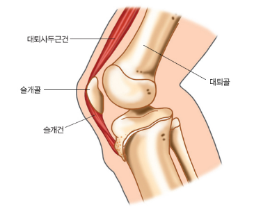  스텝퍼 무릎 관절에 좋을까?