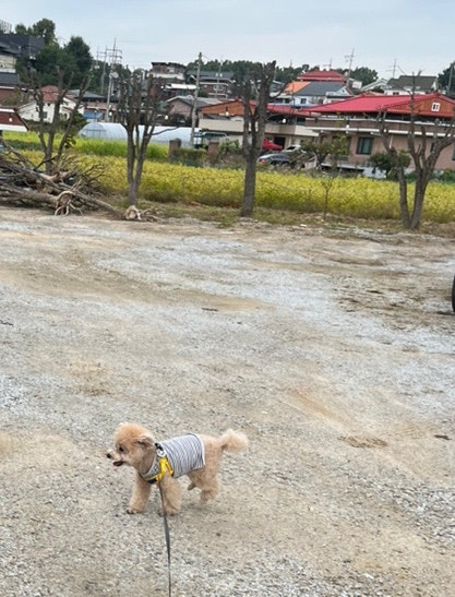 솔카페 사진 4