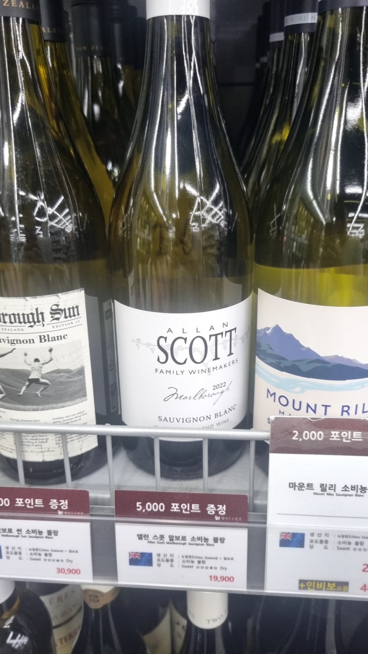  앨런 스캇 말보로 소비뇽 블랑 2022 후기 / Allan Scott Marlborough Sauvignon Blanc 뉴질랜드 와인