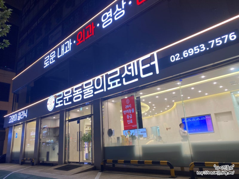 양천구 24시 동물병원) 목동사거리 로운동물의료센터 확장이전 이벤트 고양이 친화병원