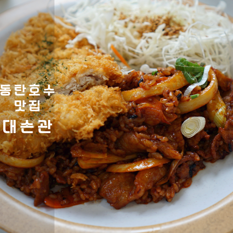  대손관 등심 돈까스 밀면 제육볶음 동탄 호수공원 맛집