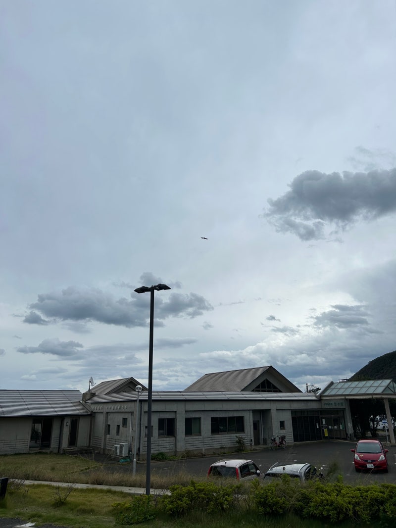 대마도 2박 3일] 대마도 히타카츠 숙소 추천 토요코인 히타카츠 후기, 셔틀 이용 꿀팁 : 네이버 블로그