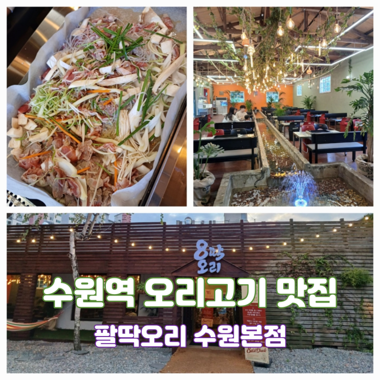 수원역 맛집 추천 팔딱오리 수원본점 캠핑감성 분위기 좋은 이색식당 수원역 맛집 추천 팔딱오리 수원본점 캠핑감성 분위기 좋은 이색식당