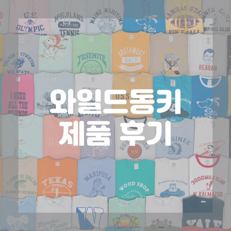  (제품 후기) 내돈내산 와일드 동키 컴퍼니