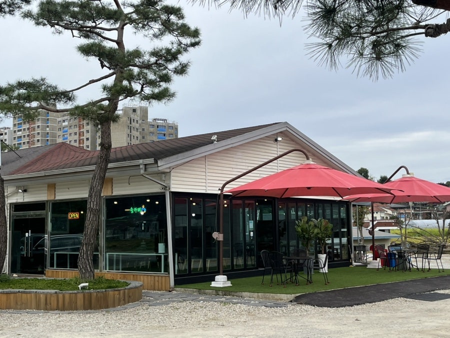 솔카페 사진 1