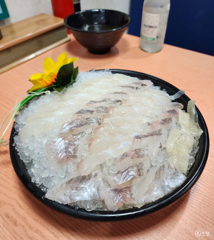  [수원 성균관대역 맛집] 월드오징어바다 성균관대점 / 광어+우럭+매운탕 세트 추천
