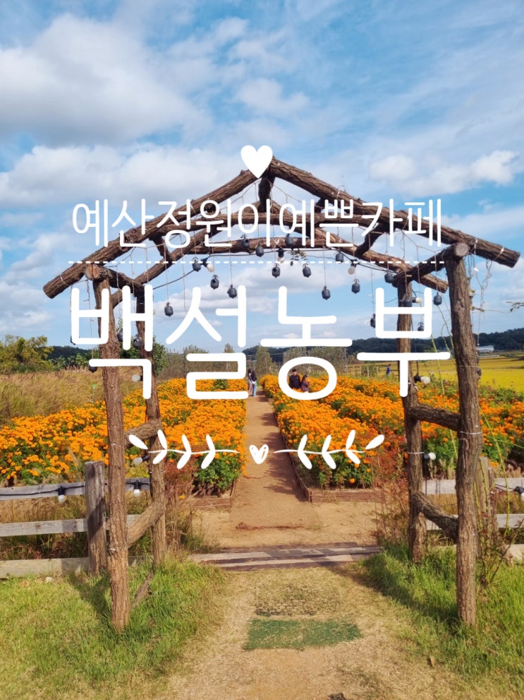  예산 아이랑 가기 좋은곳 예쁜 정원이 있는 예산카페 백설농부