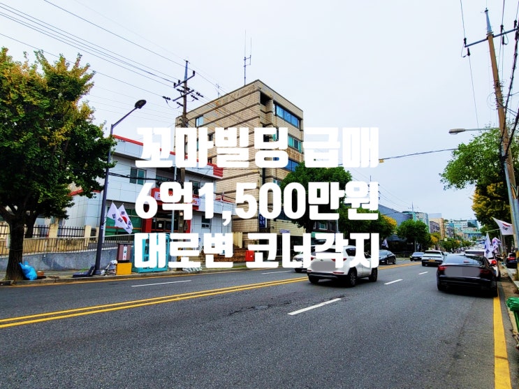  4차선 대로변 코너각지 주택 없는 대전 올근생 꼬마빌딩 땅값에 급매합니다