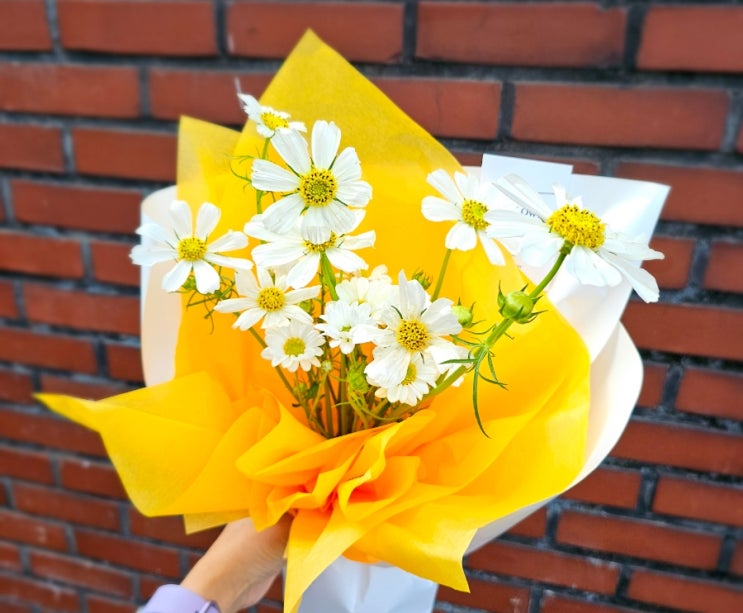  대구 수성구 만촌동 꽃집 오브유플라워