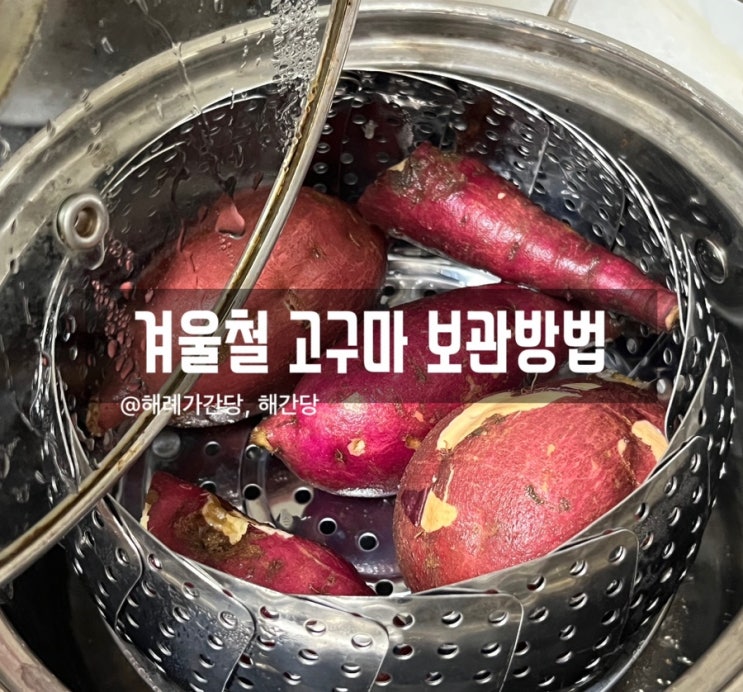  겨울철 고구마 보관방법/고구마 말리기