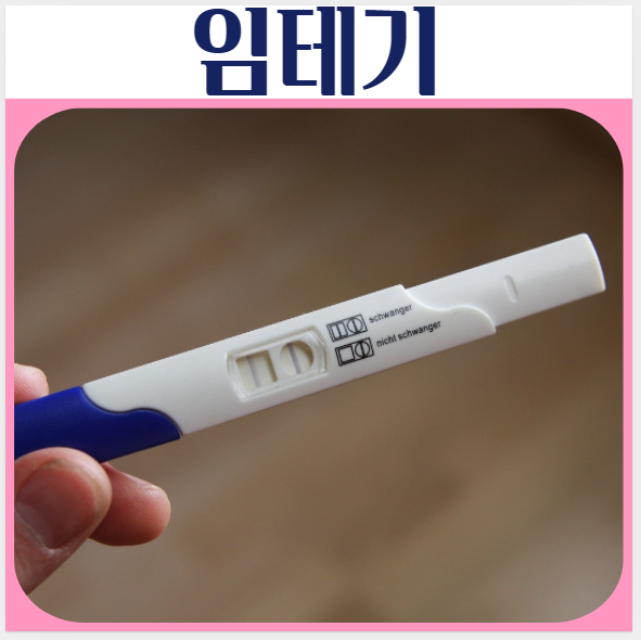 임신테스트기 원리 사용방법 두줄 해석