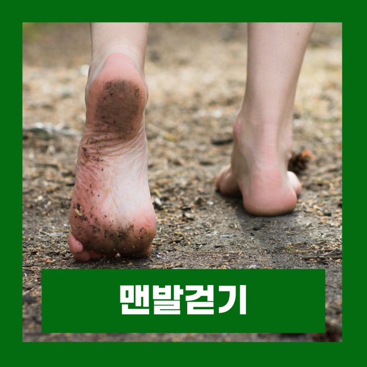  어씽 뜻 맨발걷기 효과 부작용 주의할점 어싱(earthing)