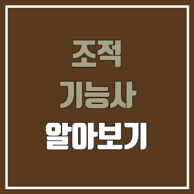 조적기능사 필기, 실기 일정 (국비, 난이도, 합격률, 독학 / 취업, 직업, 진로, 전망, 연봉, 급여, 월급)