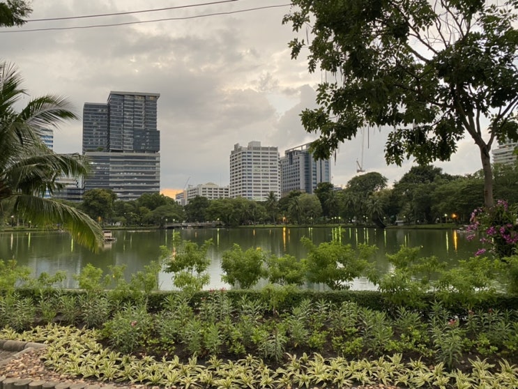 Day4 태국 방콕 차이나타운 과 룸피니 공원에서 남자 혼자 여행